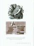 A History of Birdwatching in 100 Objects - Callahan 2014